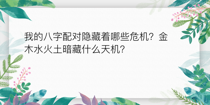 我的八字配对隐藏着哪些危机？金木水火土暗藏什么天机？