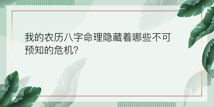 名字八字运程游戏截图