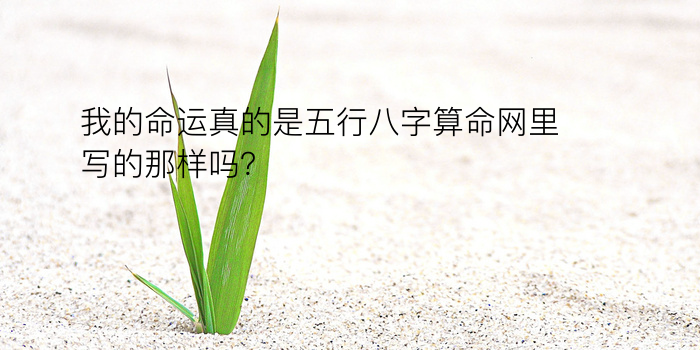 麦玲玲八字算命游戏截图