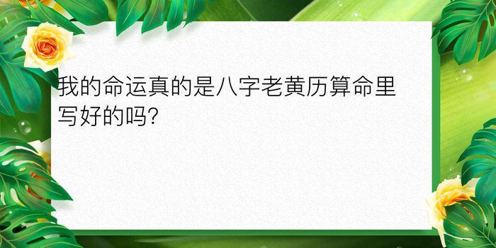 安康网八字算命游戏截图