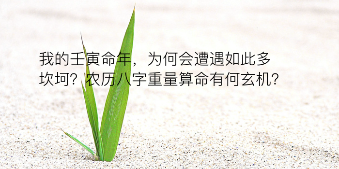 测生辰八字五行缺补游戏截图