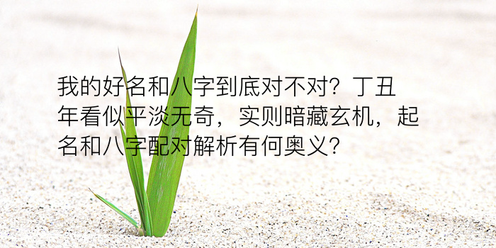 八字五行纳音游戏截图