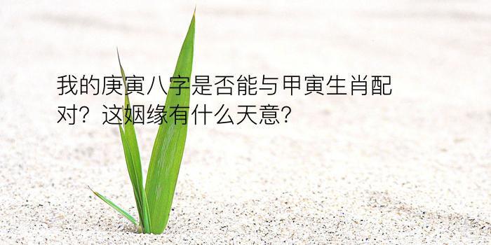 我的庚寅八字是否能与甲寅生肖配对？这姻缘有什么天意？