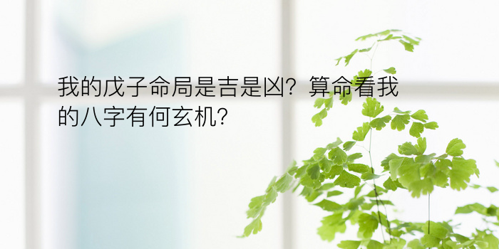 我的戊子命局是吉是凶？算命看我的八字有何玄机？