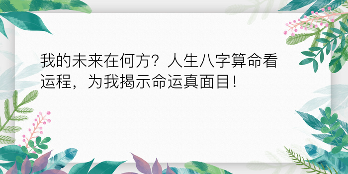 华盛算命网八字详批游戏截图