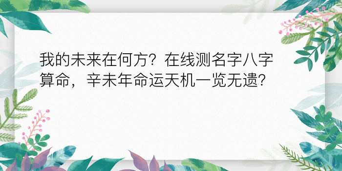 二零二算运网