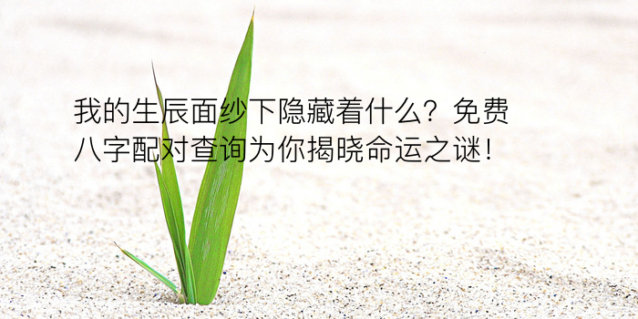 八字运程根运游戏截图