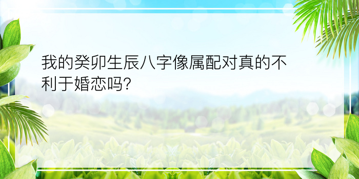 我的癸卯生辰八字像属配对真的不利于婚恋吗？