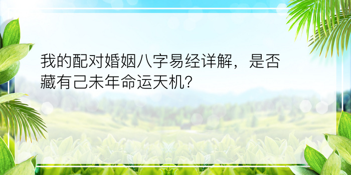 我的配对婚姻八字易经详解，是否藏有己未年命运天机？