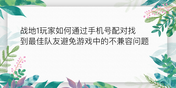 战地1玩家如何通过手机号配对找到最佳队友避免游戏中的不兼容问题