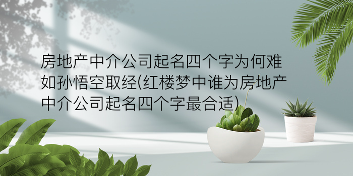 主角同名同姓游戏截图