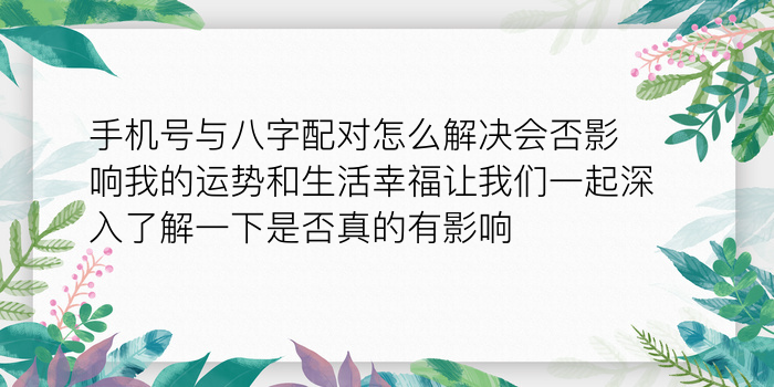 车牌号吉凶计算方法游戏截图