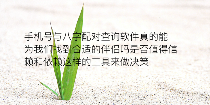 车牌吉凶测试游戏截图