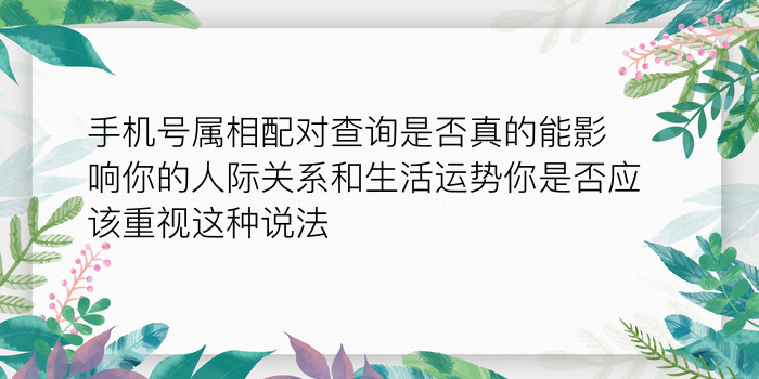 手机号属相配对查询是否真的能影响你的人际关系和生活运势你是否应该重视这种说法