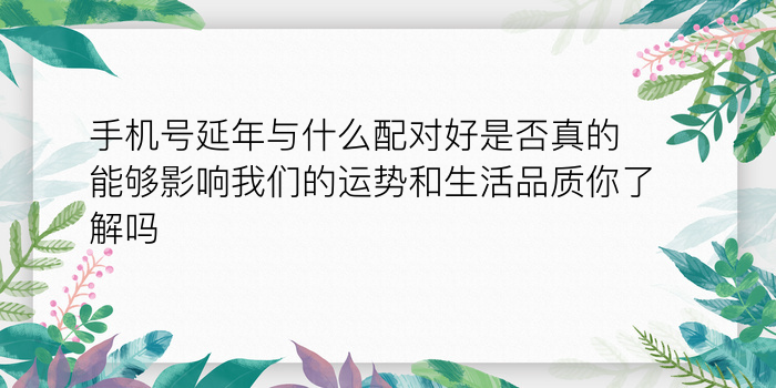 男女出生日期配对测试游戏截图