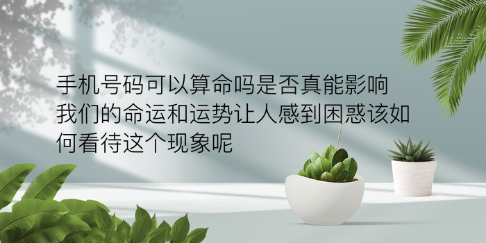 属相婚配游戏截图