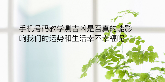 车牌号真的有吉凶吗游戏截图