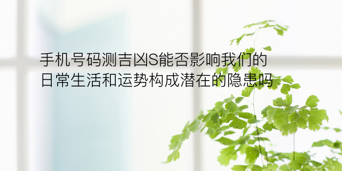 生肖配对龙游戏截图