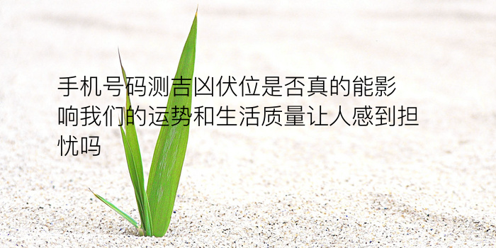 车牌子测吉凶游戏截图