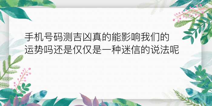 属相星座配对查询表游戏截图