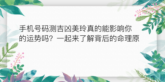 车牌号数字吉凶查询游戏截图