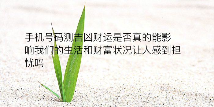 车牌号查询吉凶免费游戏截图