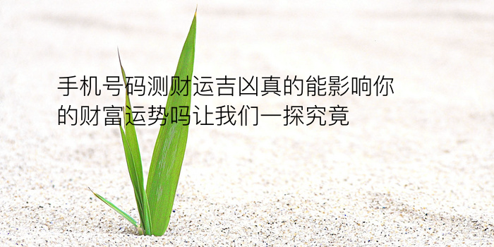 姓名配对爱情的文案游戏截图