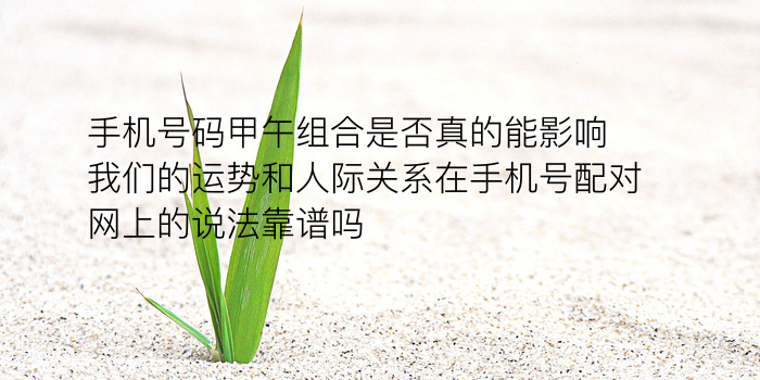 生肖配对免费游戏截图