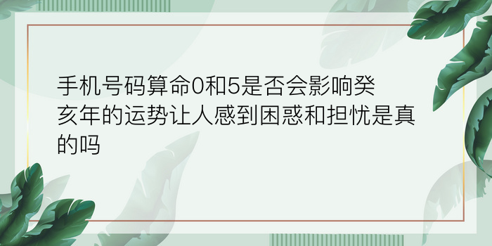 姓名配对测试脸型游戏截图