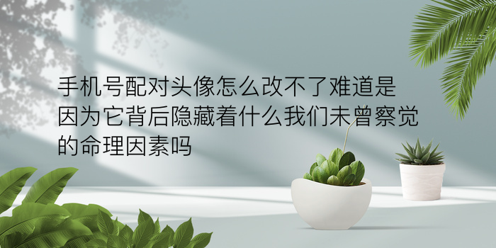 星座配对游戏游戏截图