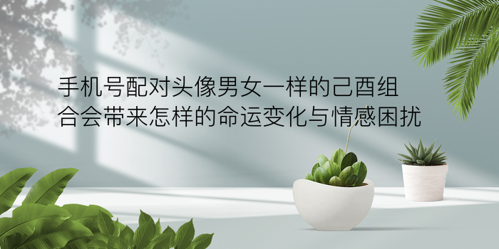 生日星座配对游戏截图