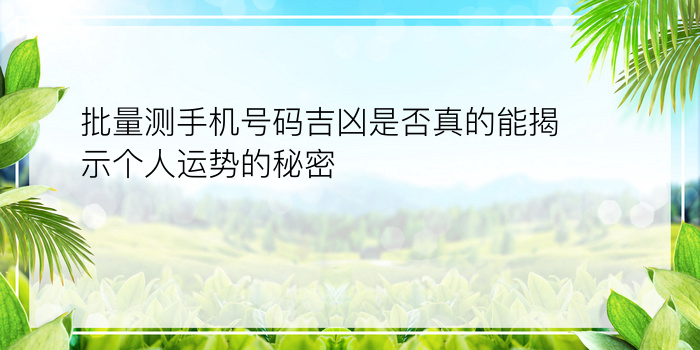 批量测手机号码吉凶是否真的能揭示个人运势的秘密