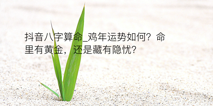 算命八字网游戏截图