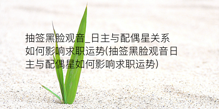 普陀山南海观音抽签游戏截图