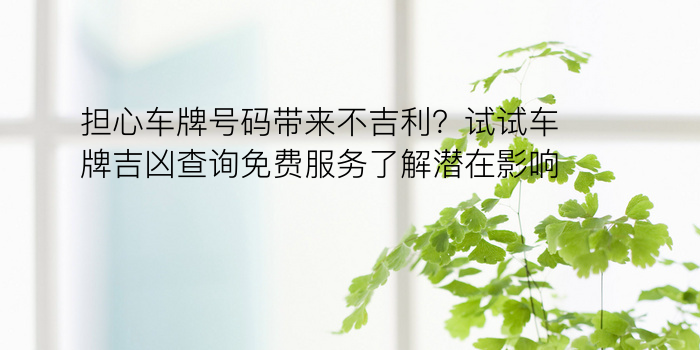 担心车牌号码带来不吉利？试试车牌吉凶查询免费服务了解潜在影响