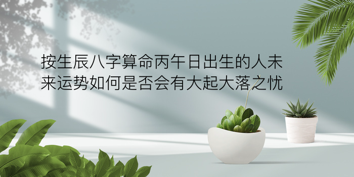 名典八字算命游戏截图