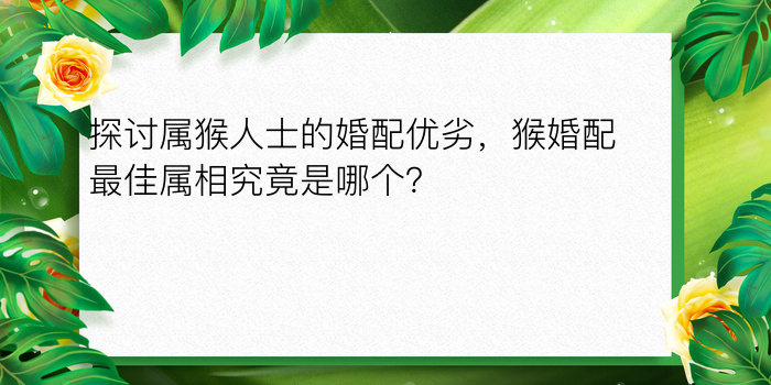 探讨属猴人士的婚配优劣，猴婚配最佳属相究竟是哪个？