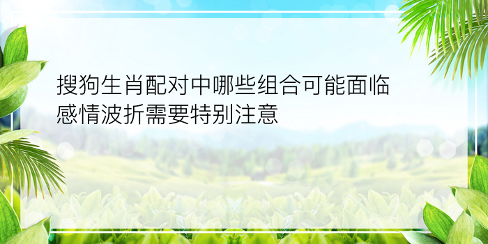 搜狗生肖配对中哪些组合可能面临感情波折需要特别注意