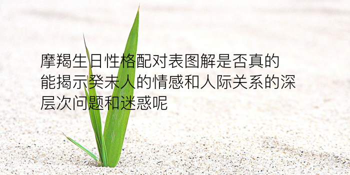 婚配属相查询游戏截图