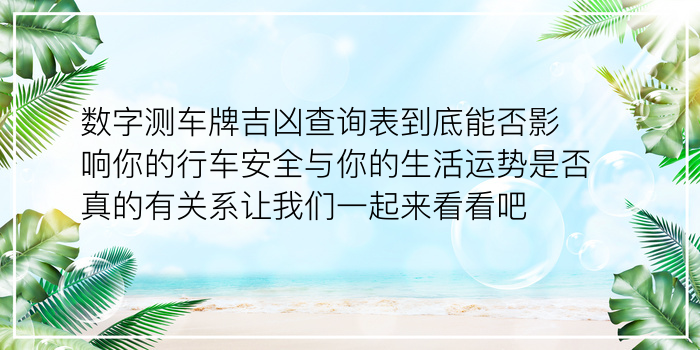 车牌号吉凶游戏截图