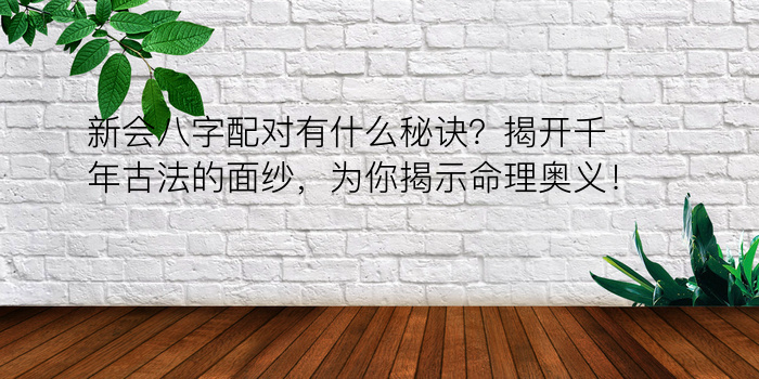 新会八字配对有什么秘诀？揭开千年古法的面纱，为你揭示命理奥义！