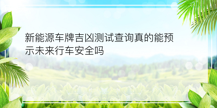 新能源车牌吉凶测试查询真的能预示未来行车安全吗