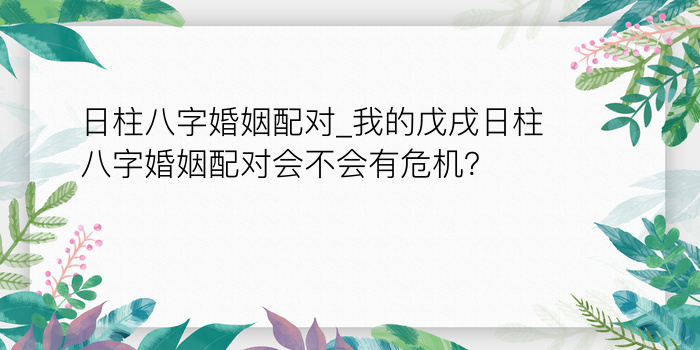 生辰八字称骨算命游戏截图