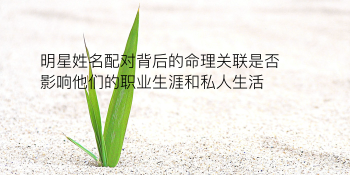 属虎婚配属相游戏截图