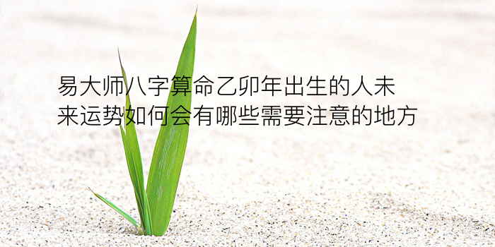 八字婚配算命游戏截图