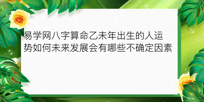 八字算命入门游戏截图