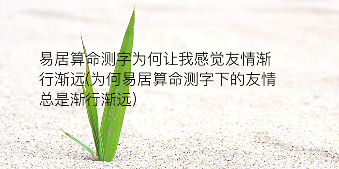 易据测字诸葛游戏截图