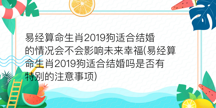 二零二算运网