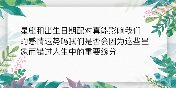 查车牌吉凶查询游戏截图