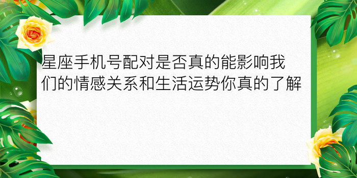 双鱼最佳配对星座游戏截图